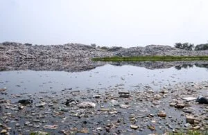 Impact of Industrial Pollution on Local Water