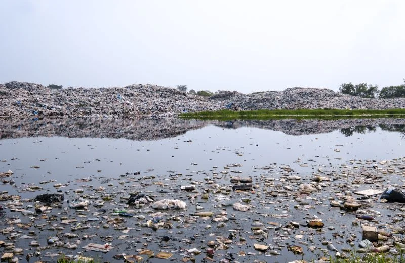 Impact of Industrial Pollution on Local Water