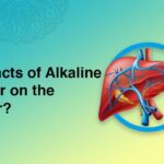 Impacts of Alkaline water on the Liver