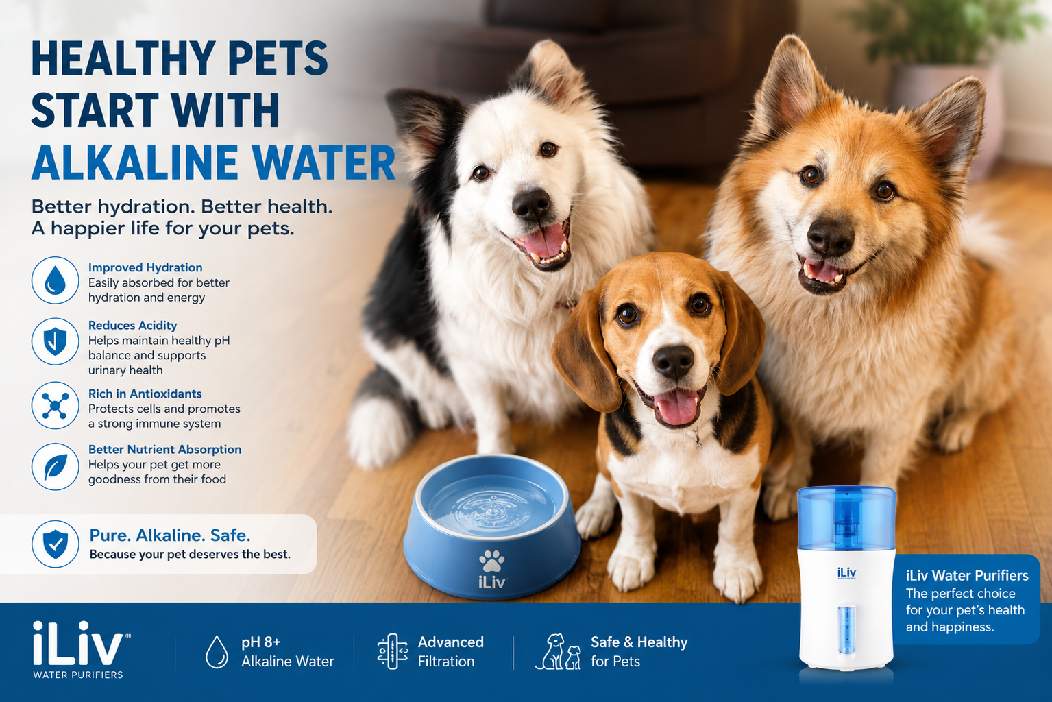 Enhancing Your Pet’s Health with Alkaline