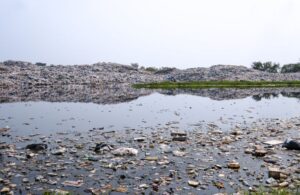 Impact of Industrial Pollution on Local Water