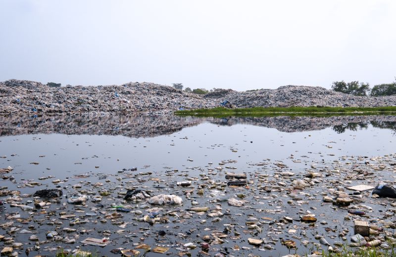 Impact of Industrial Pollution on Local Water